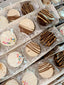 Chocolate Covered Oreos